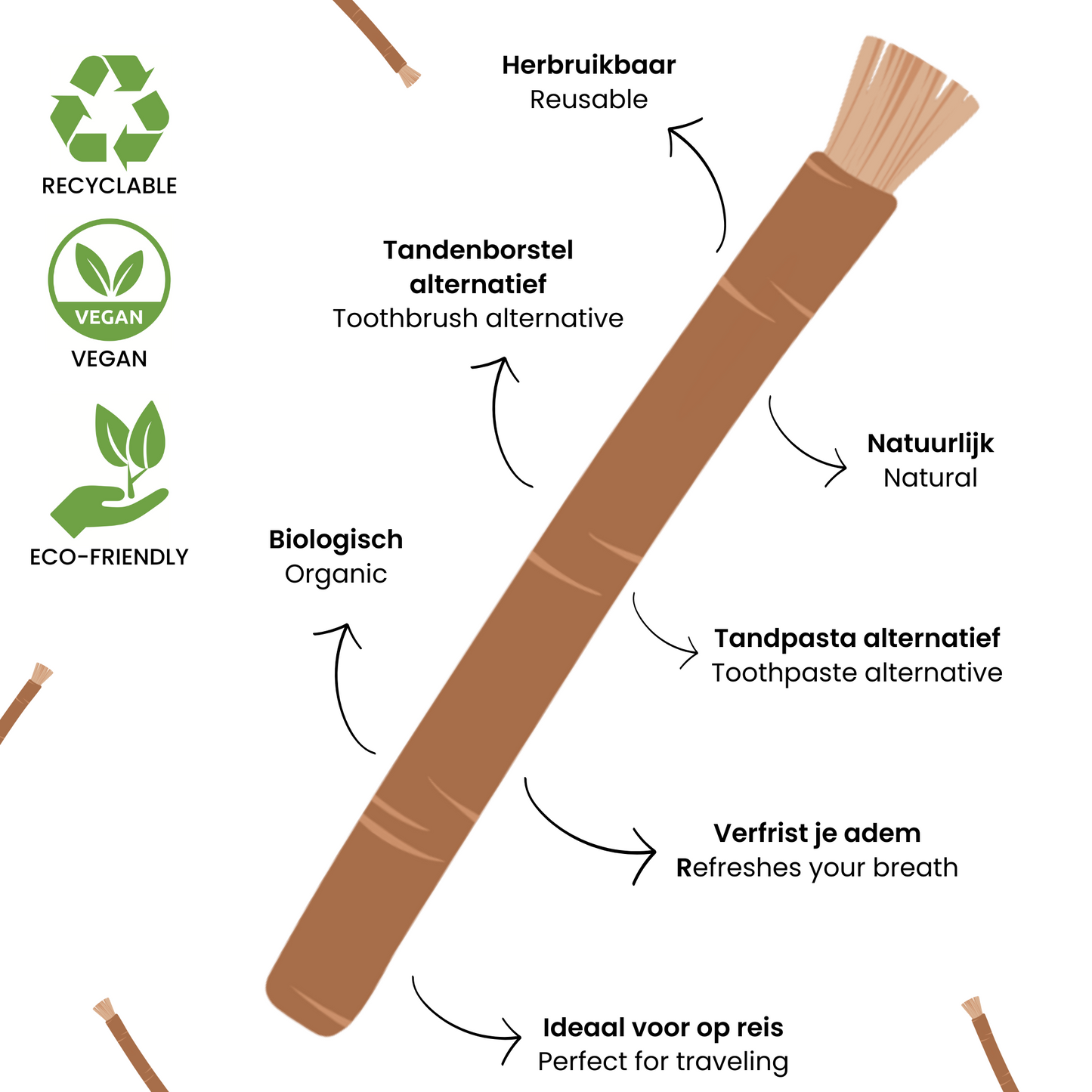 Premium Natuurlijke Miswak (Siwak) - 5 Stuks + Beschermkoker